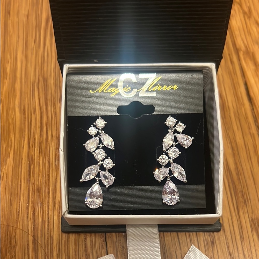 Elegant Silver Earrings